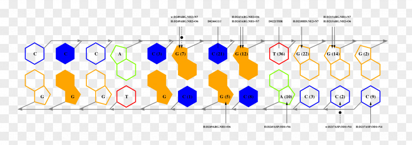 Design Graphic Brand Pattern PNG