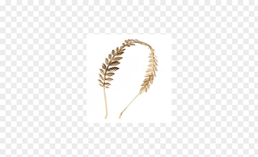 Diadema Grasses Food Grain Family PNG