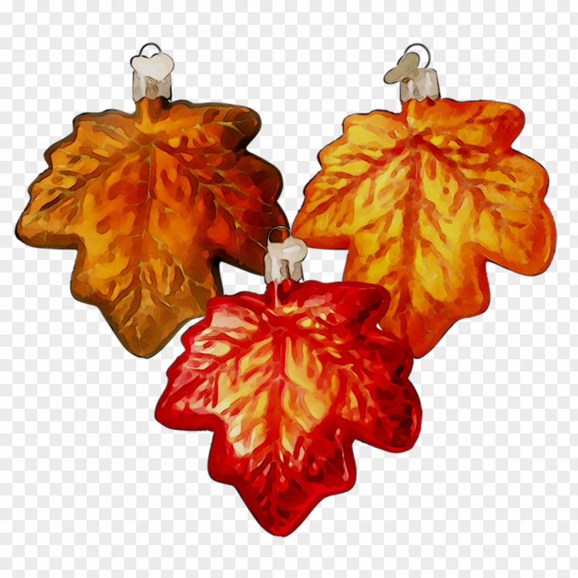 Earring Leaf Christmas Ornament Orange S.A. PNG