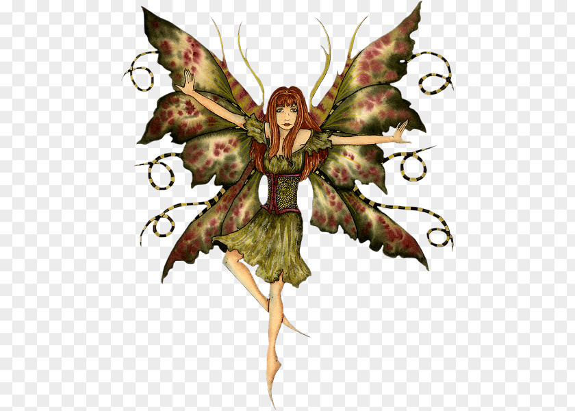 Fairy Duende Elf Faery Wicca Magic PNG