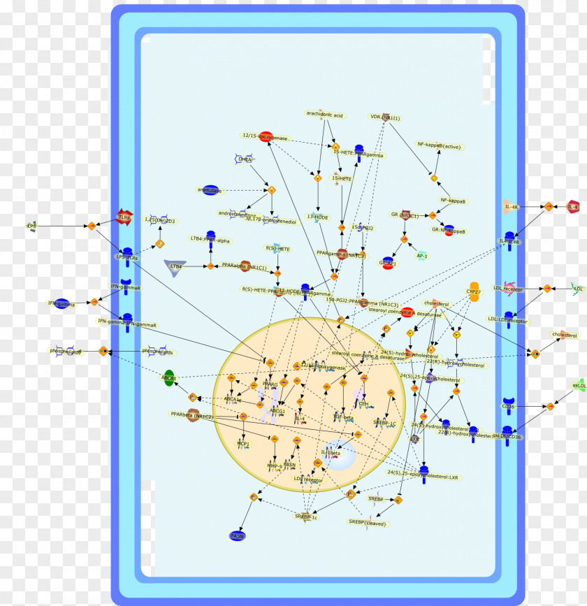 Line Point Diagram PNG