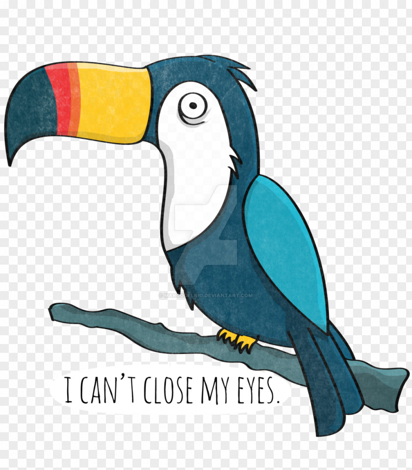 TUCAN Rhett And Link Macaw Good Mythical Morning Toucan PNG