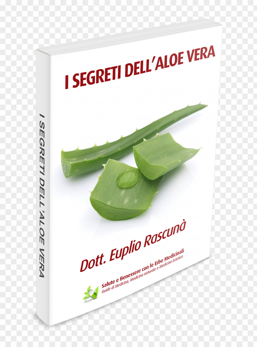 Aloe Verra Medicinal Plants Vera Brand PNG