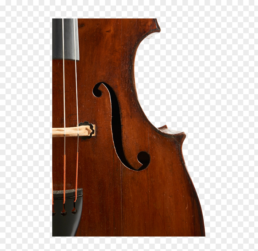 Bass Guitar Violin Double Violone Viola PNG