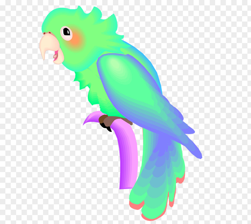 Bird Budgerigar Macaw Lovebird Clip Art PNG