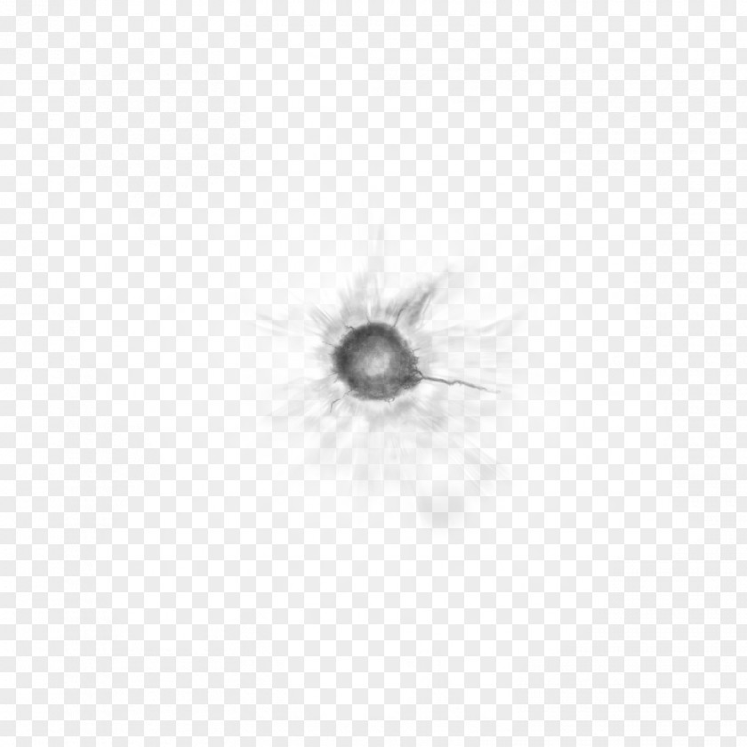 Brush Eye Monochrome Photography PNG