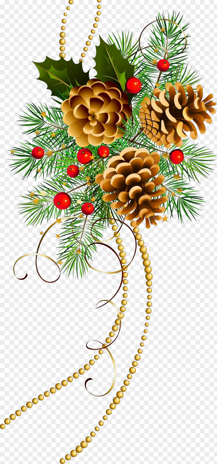 Christmas Ornament Plant Decoration PNG
