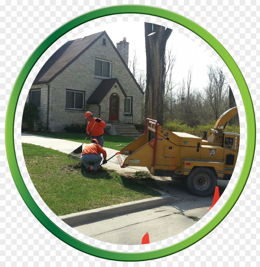 Clean Up Crew RG Tree Service Index Term Milwaukee Lawn PNG