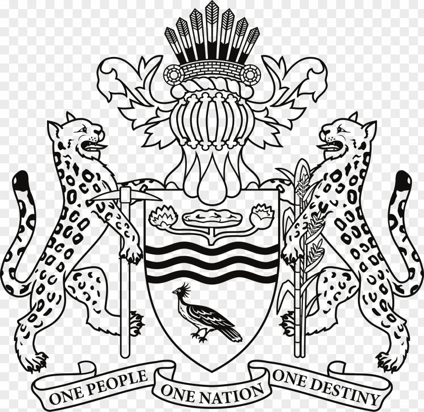 Heraldic Coat Of Arms Guyana T-shirt The British Indian Ocean Territory PNG