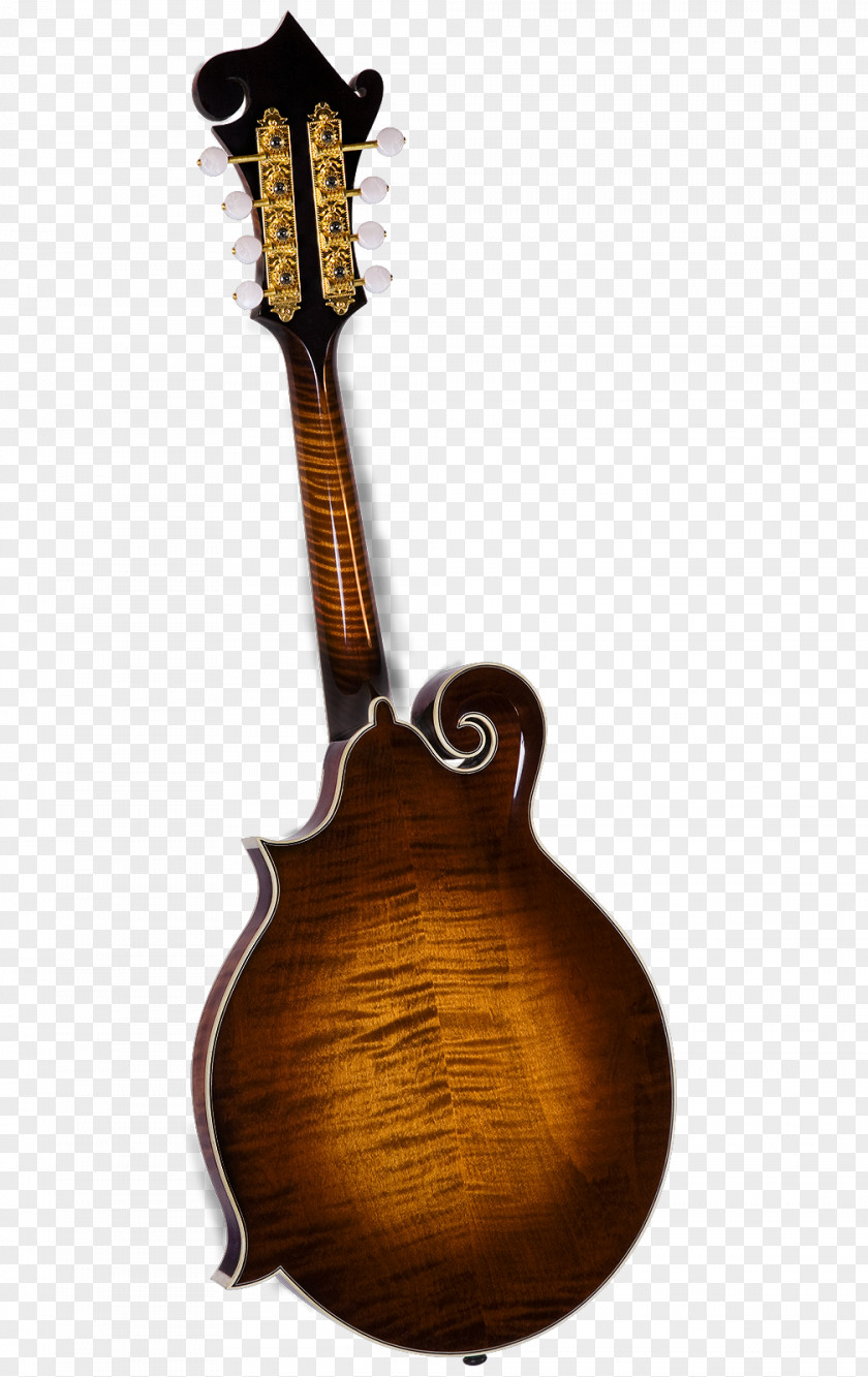 Musical Instruments Mandolin Acoustic-electric Guitar Tiple Amazon.com PNG