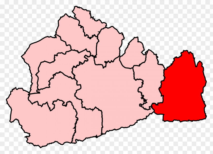 Surrey Heath Spelthorne Esher And Walton East PNG