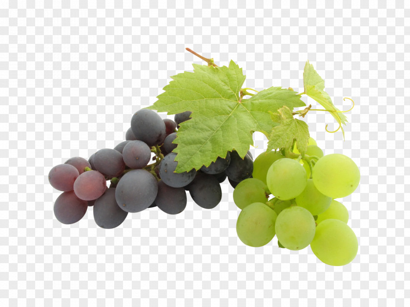 White Grape,grape Kyoho Wine Grape Seed Oil PNG
