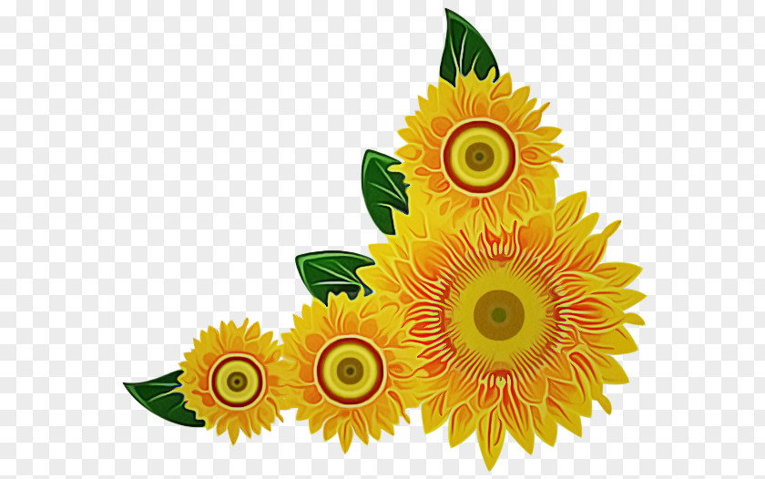 Flowering Plant Cut Flowers Sunflower PNG