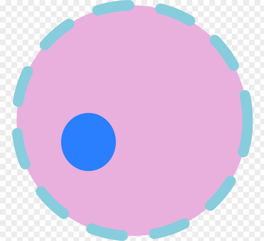Cell Nucleus Eukaryote PNG