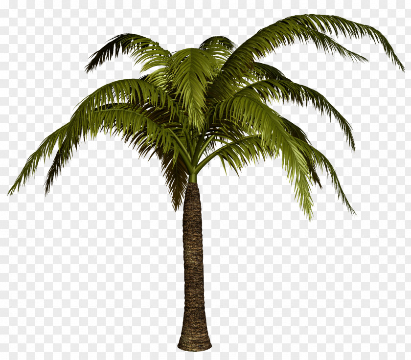 Coconut Palm Trees Clip Art Psd Drawing PNG