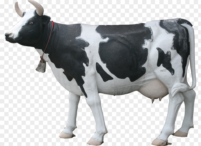 Dairy Cheese Cattle Milk Wright PNG