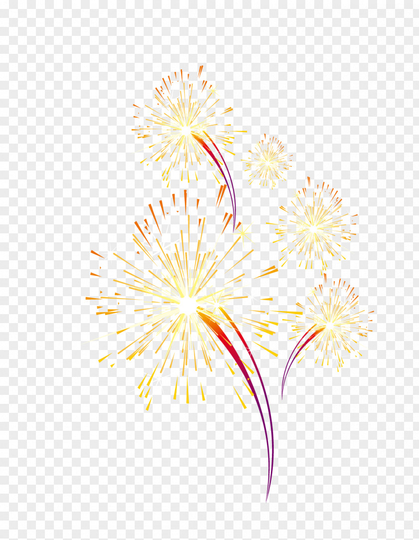 Fireworks Petal Text Illustration PNG