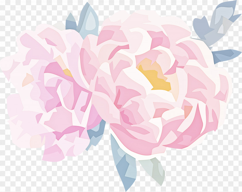 Floral Design PNG