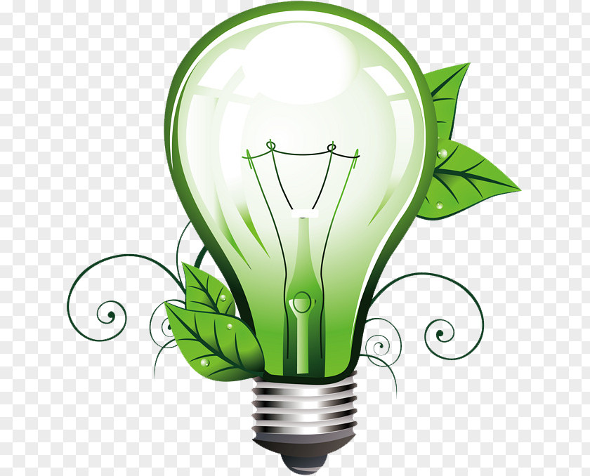Plant Compact Fluorescent Lamp Light Bulb Cartoon PNG