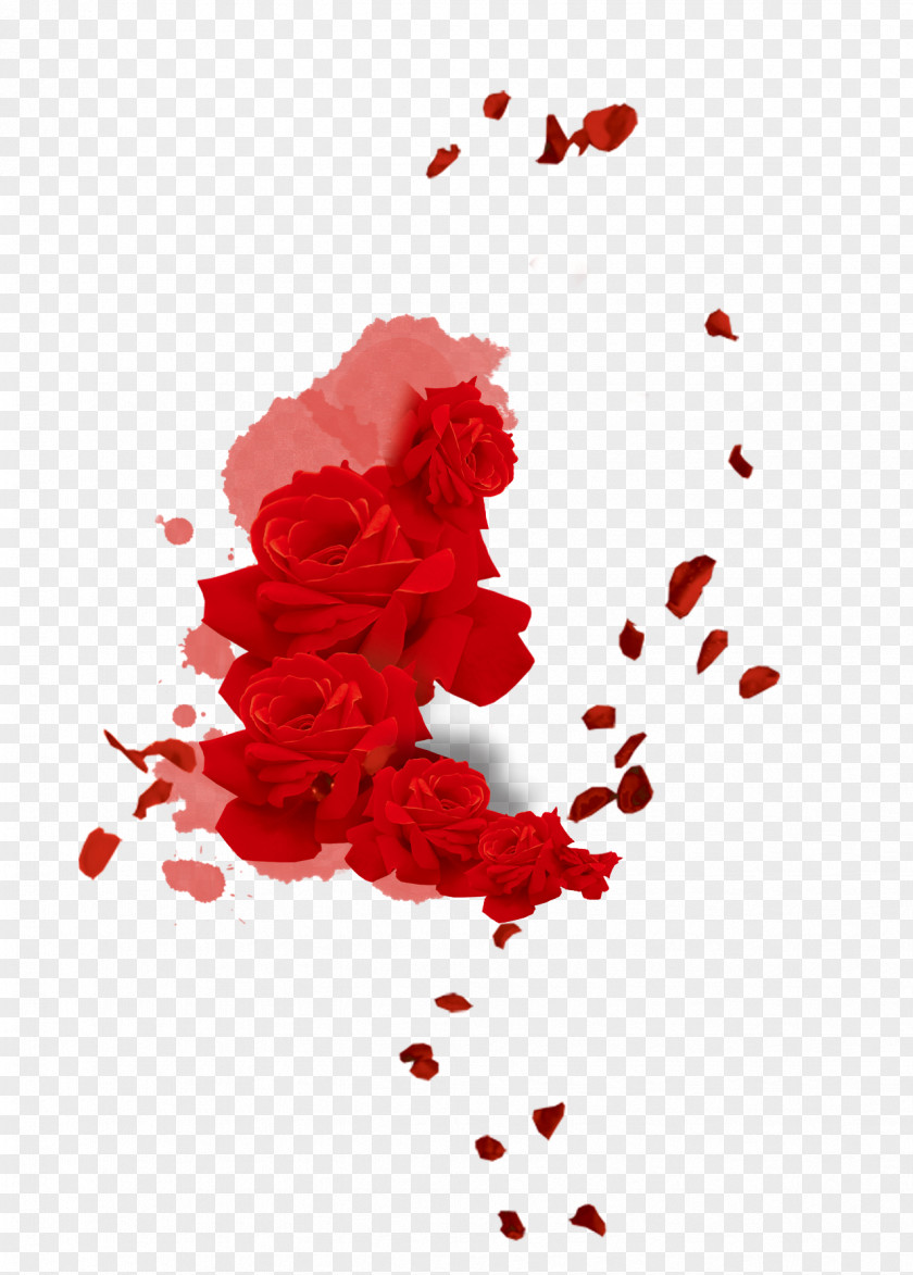 Rose Petal Flower PNG