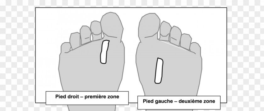 Thumb Foot Esophagus Reflexology Larynx PNG
