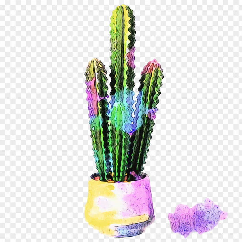 Cactus PNG