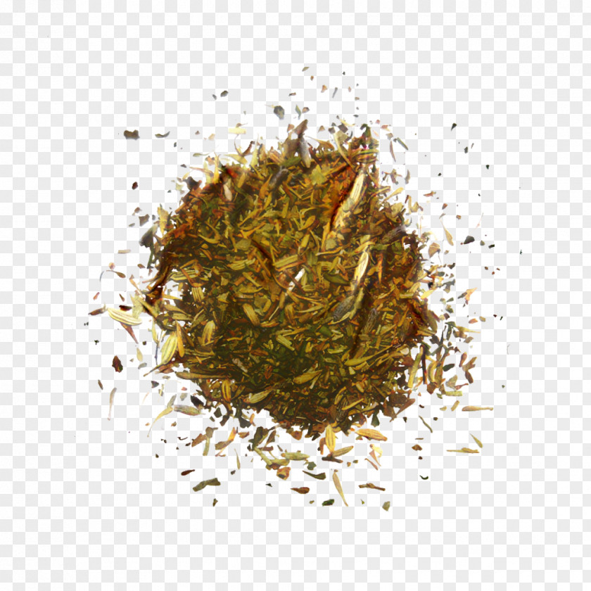 Distaff Thistles Rooibos Herbes De Provence Plant PNG