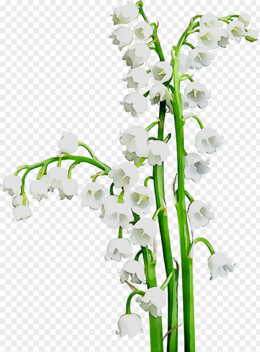 Floral Design Cut Flowers Flower Bouquet Plant Stem PNG