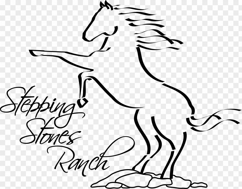 Horse Drawing Line Art Clip Mustang Pony PNG