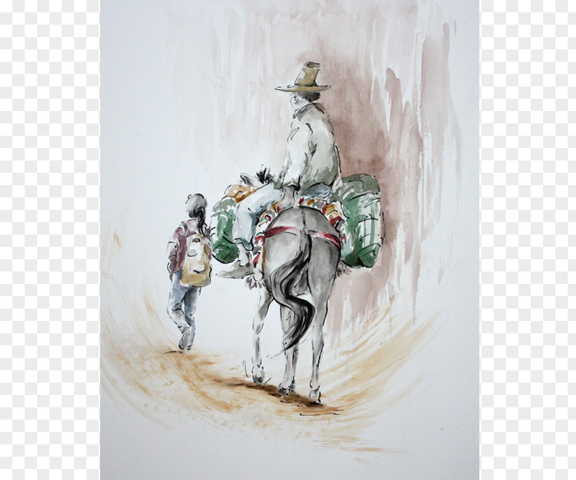 Painting Watercolor Horse Costume Design PNG
