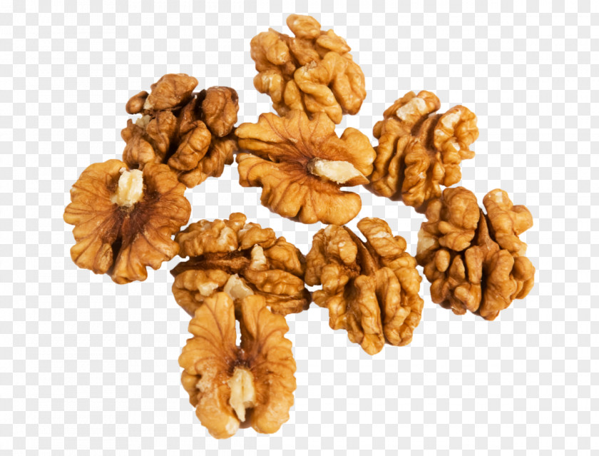 Walnut PNG clipart PNG
