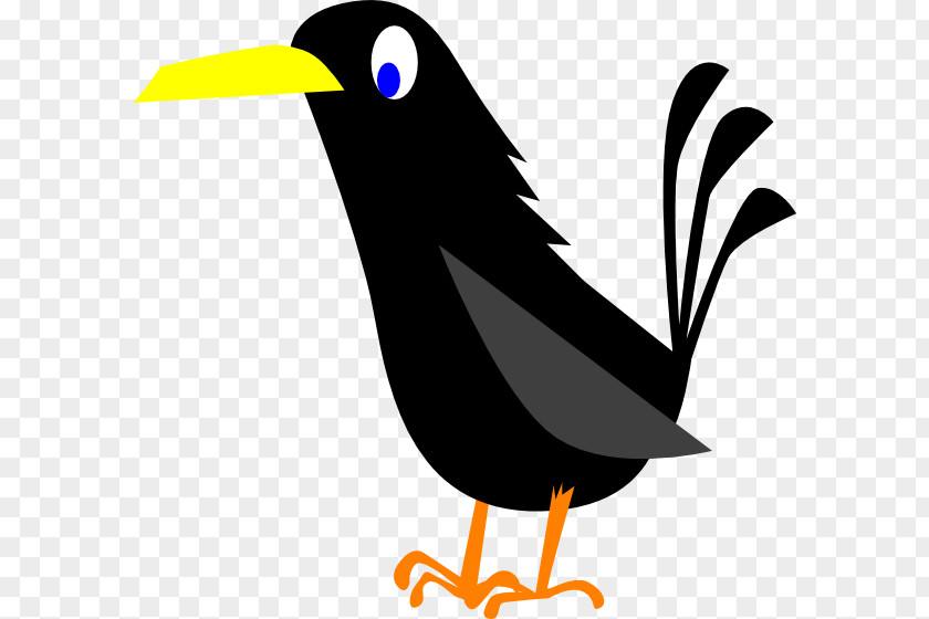 Cartoon Crow American Common Raven Clip Art PNG