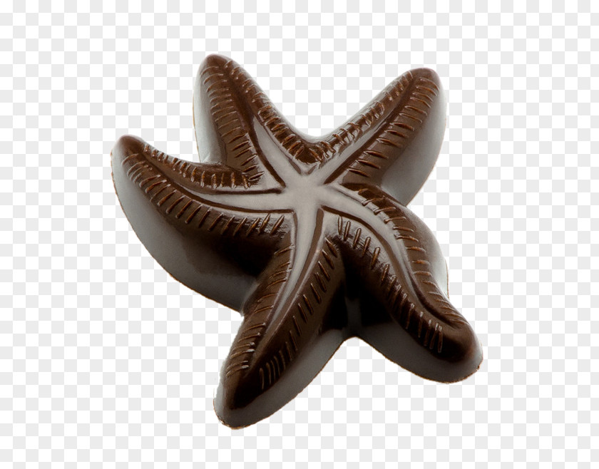 Chocolate Starfish Bar White The Hershey Company Candy PNG