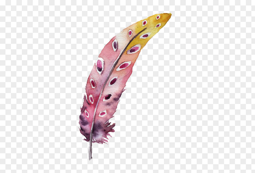 Watercolor Feather Clip Art PNG