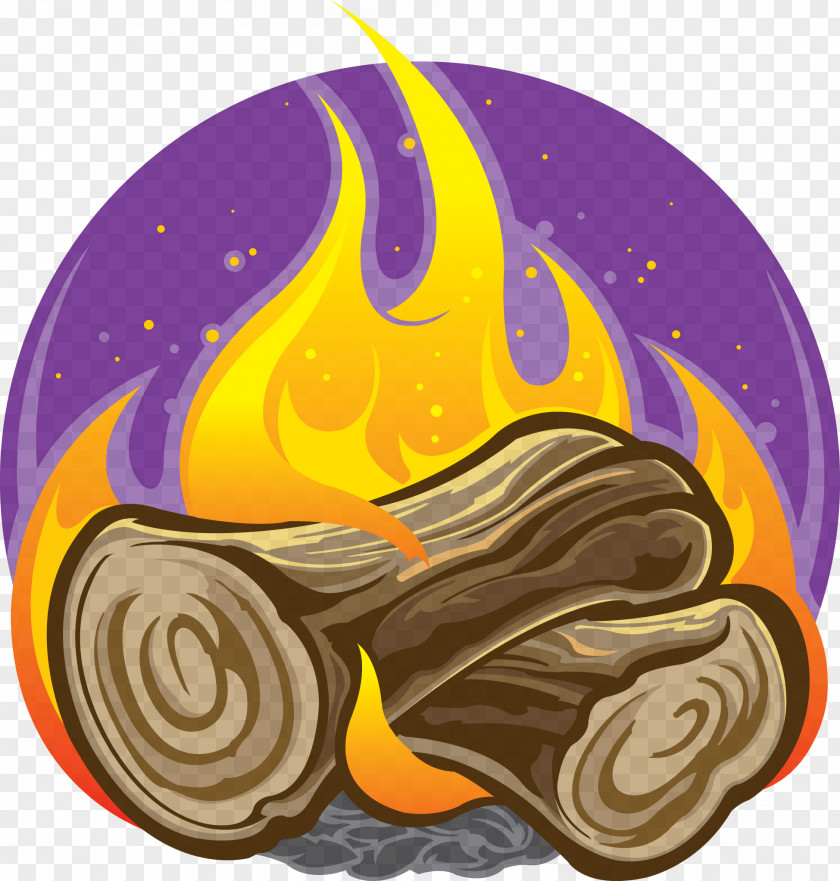 Campfire Scouting Camping Clip Art PNG