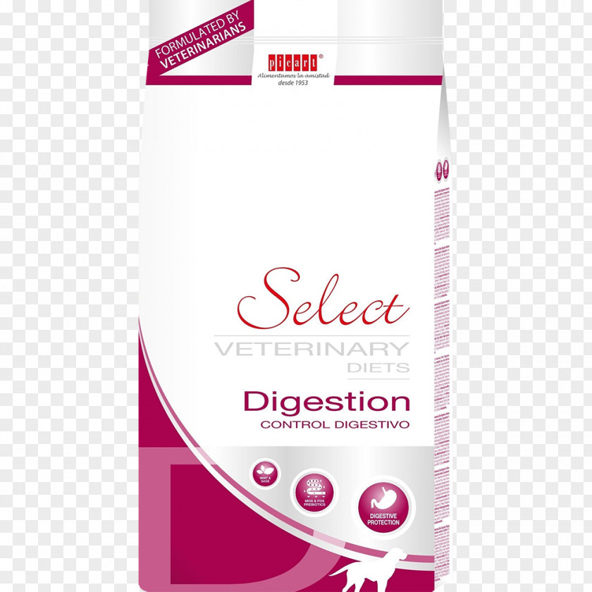 Dog Digestion Diet Prebiotic Food PNG