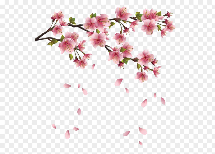 Floating Flower Petals Spring Branch Clip Art PNG