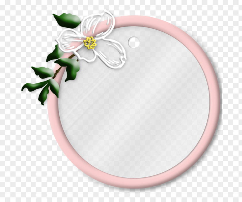 Flowers Ring Light Mirror PNG