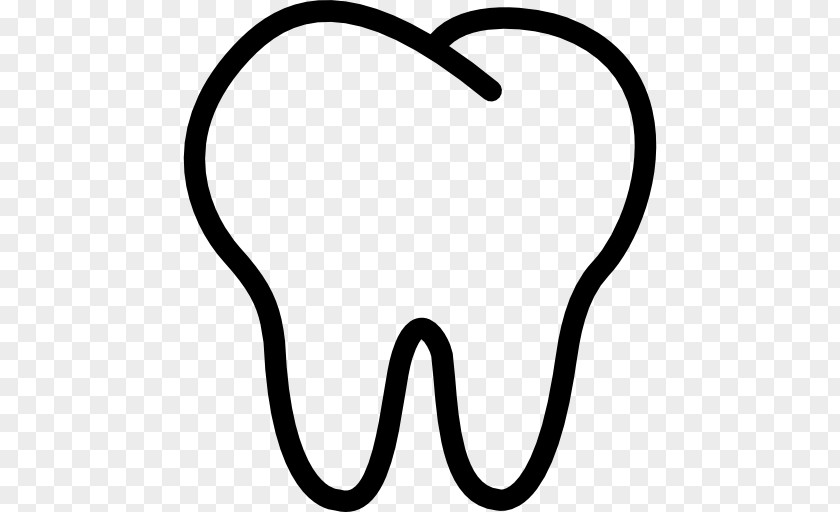 Tooth Incisor Molar Clip Art PNG