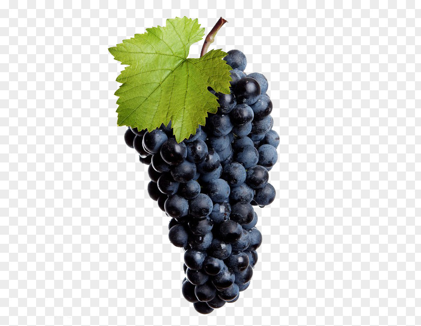 Wine Common Grape Vine Juice Seed Extract PNG