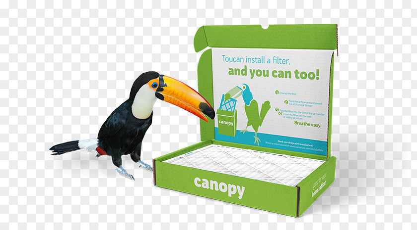 Amazon Toucan Air Filter Product Packaging And Labeling Subscription Business Model PNG