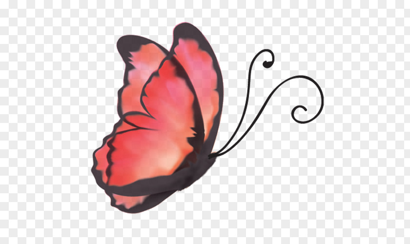 Butterfly Microsoft PowerPoint Template Animation Presentation PNG