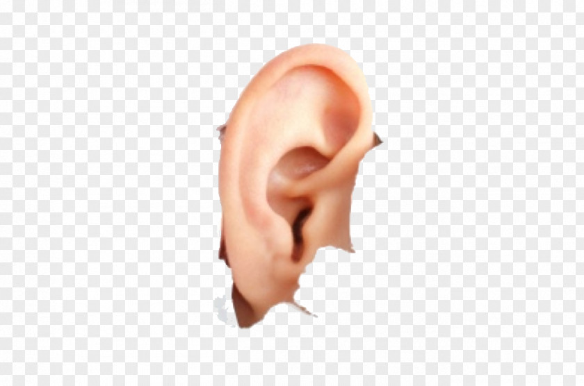 Ear Hearing Tinnitus PNG