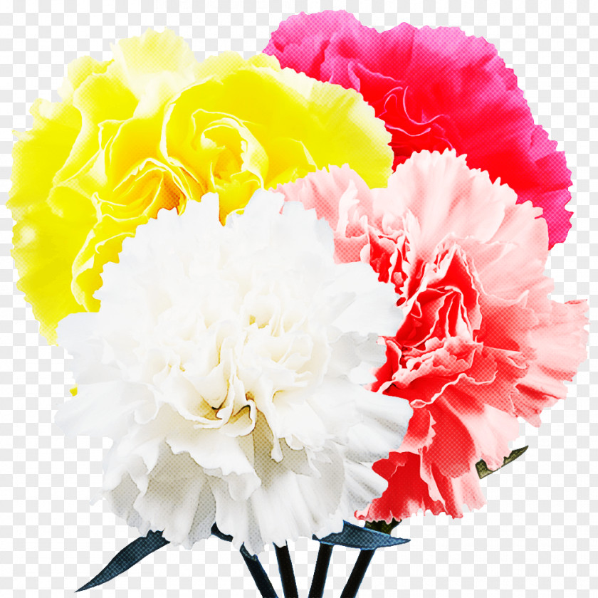 Floral Design PNG