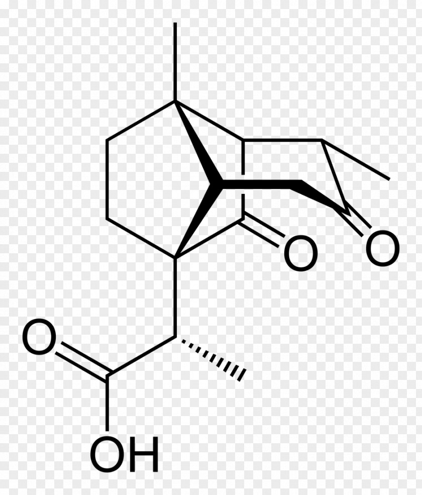 Skeleton Aspartic Acid Proteinogenic Amino Asparagine Amine PNG