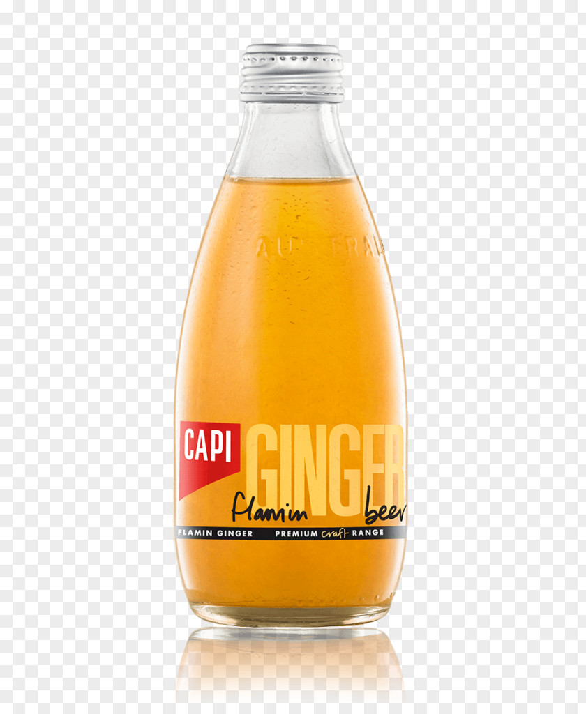 Beer Ginger Ale Fizzy Drinks Moscow Mule PNG