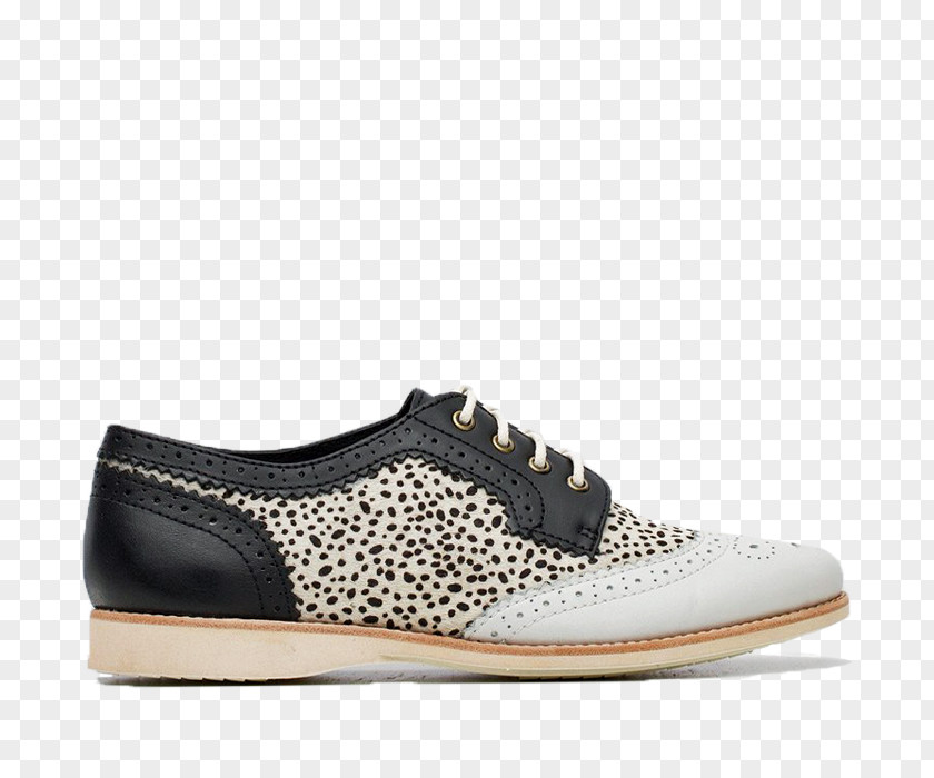 Brogue Shoe Sneakers Oxford Derby PNG