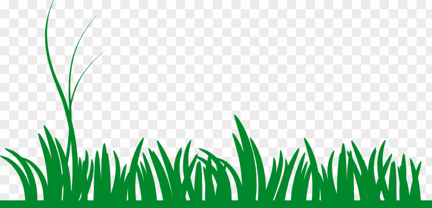 Cartoon Grass Desktop Wallpaper Clip Art PNG