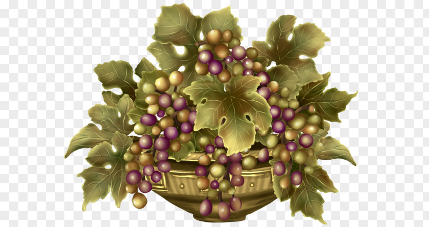 Grape Image Download Cartoon PNG