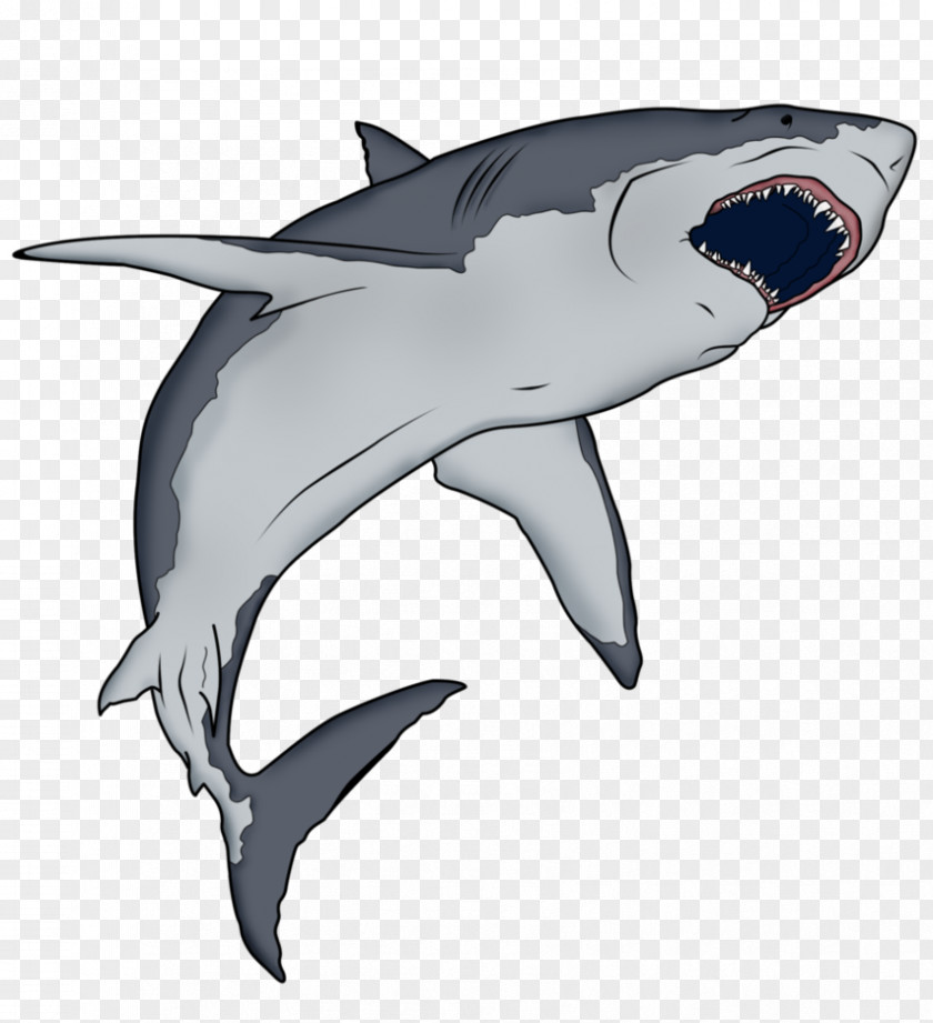 Shark Requiem Hungry Evolution Cartoon PNG